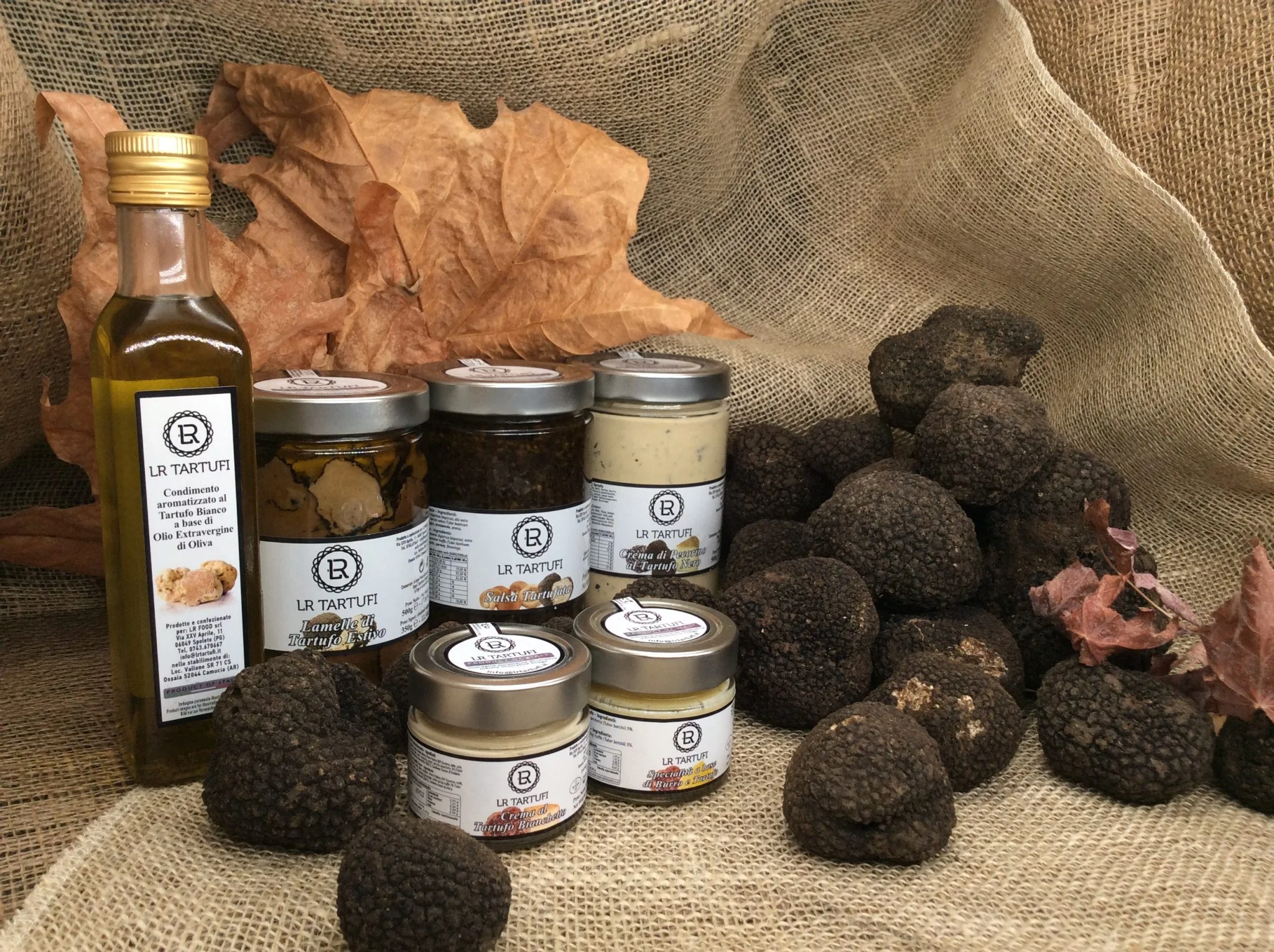 Vous consultez actuellement Truffe Italienne