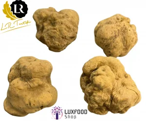 Lire la suite à propos de l’article Truffe Blanche