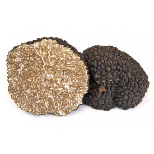 Vous consultez actuellement Truffe d&rsquo;été