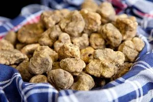 Lire la suite à propos de l’article Truffes blanches